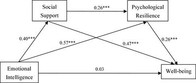 The Relationship Between Postgraduates’ Emotional Intelligence and Well-Being: The Chain Mediating Effect of Social Support and Psychological Resilience